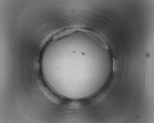 X0000111390252200907241340