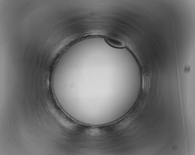 X0000111390253200907241340