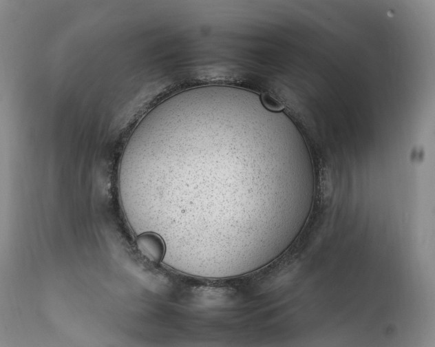 X0000111390255200907241340