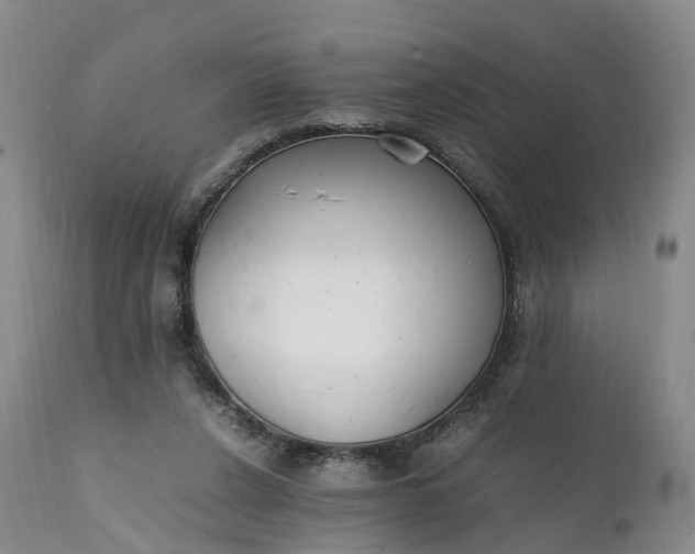 X0000111390256200907241341