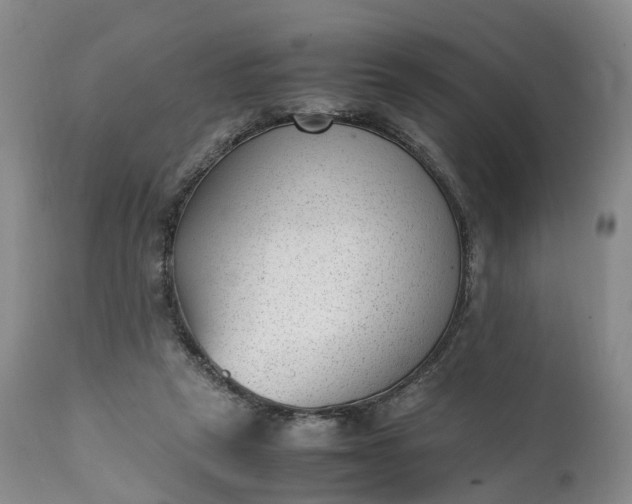 X0000111390257200907241341