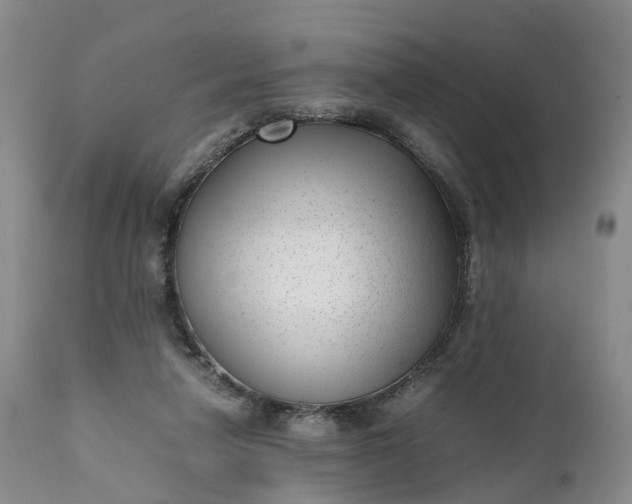 X0000111390258200907241341