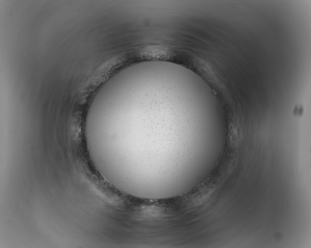 X0000111390259200907241341