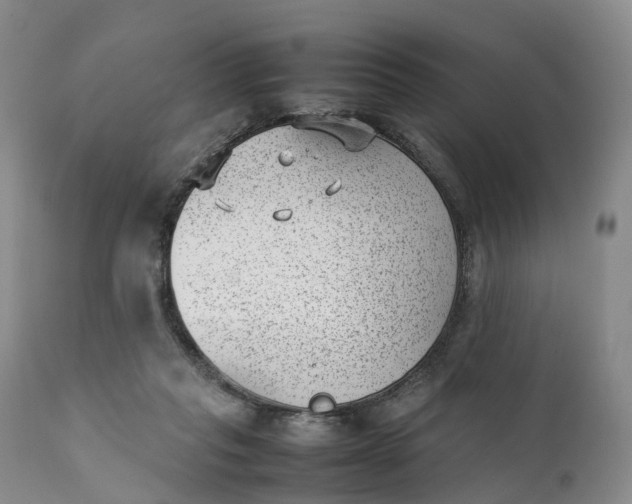 X0000111390261200907241341