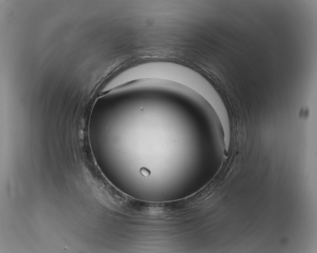 X0000111390264200907241341