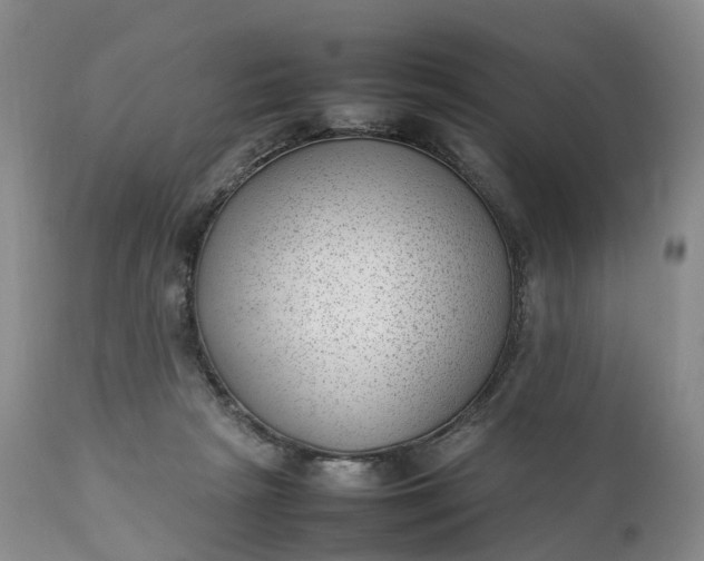 X0000111390265200907241341