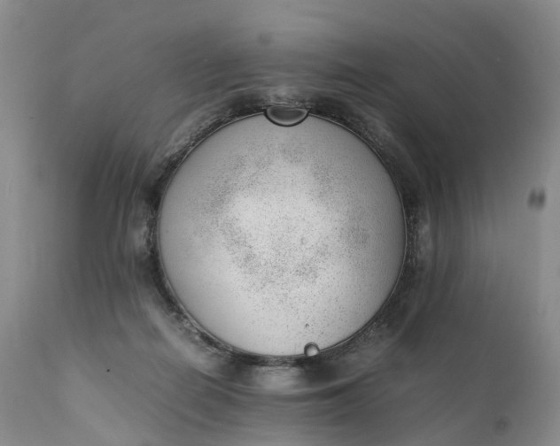 X0000111390266200907241341