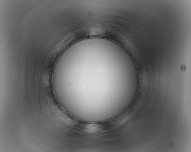 X0000111390269200907241341