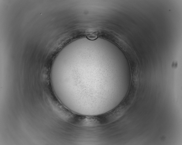 X0000111390270200907241341