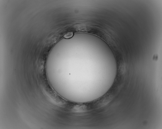 X0000111390271200907241341