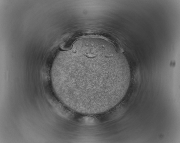 X0000111390272200907241341