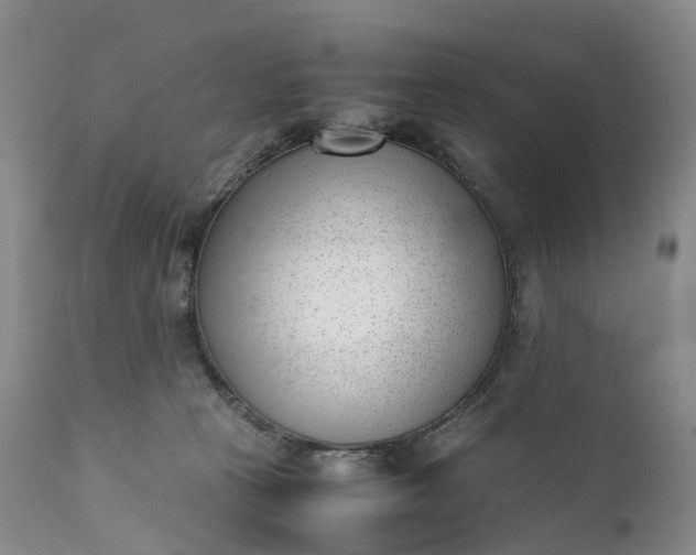 X0000111390273200907241341