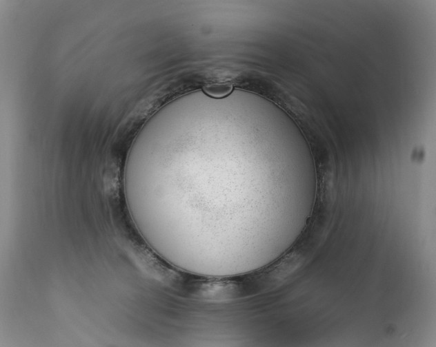 X0000111390274200907241341