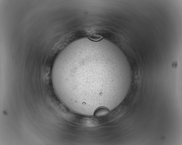 X0000111390275200907241341