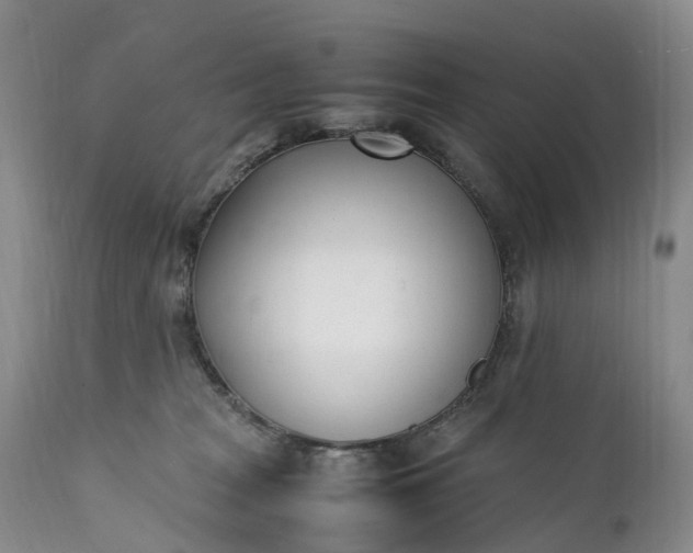 X0000111390277200907241341