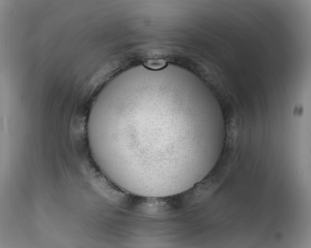 X0000111390278200907241341