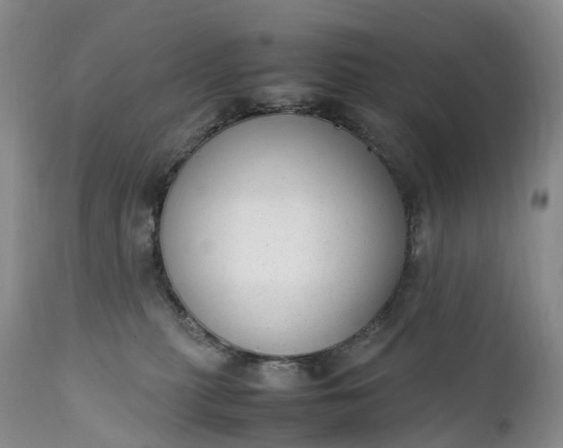 X0000111390279200907241341