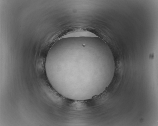 X0000111390280200907241341