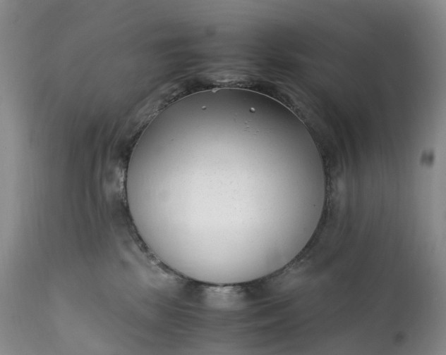 X0000111390281200907241341