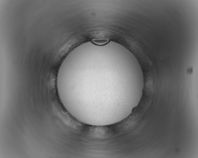 X0000111390282200907241341