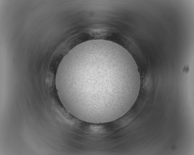 X0000111390283200907241341