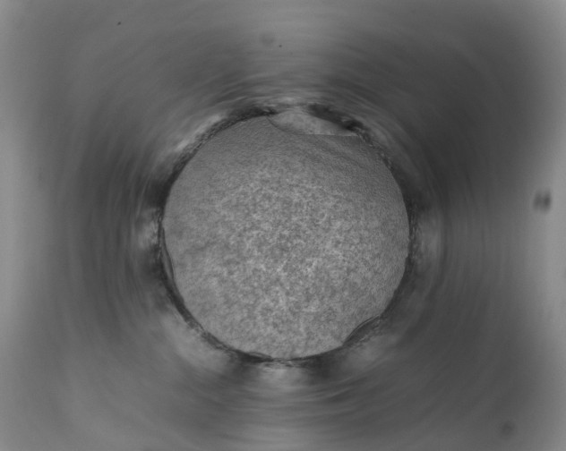 X0000111390284200907241341