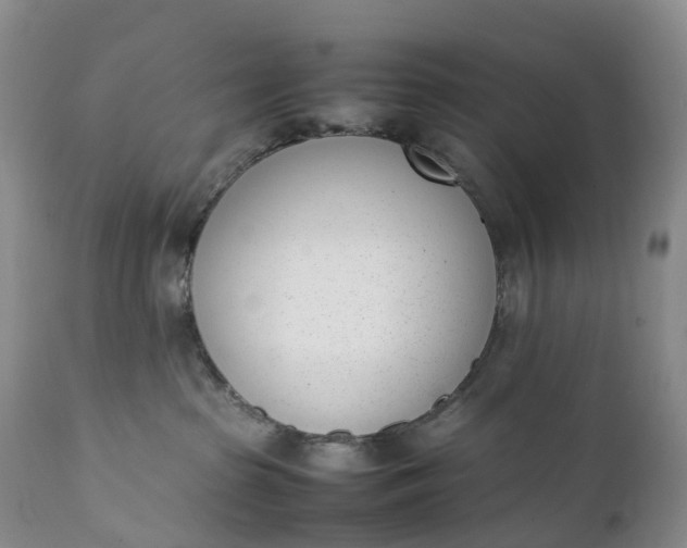 X0000111390285200907241341