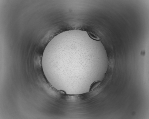 X0000111390286200907241341