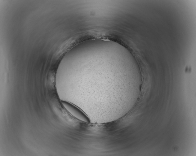 X0000111390288200907241341