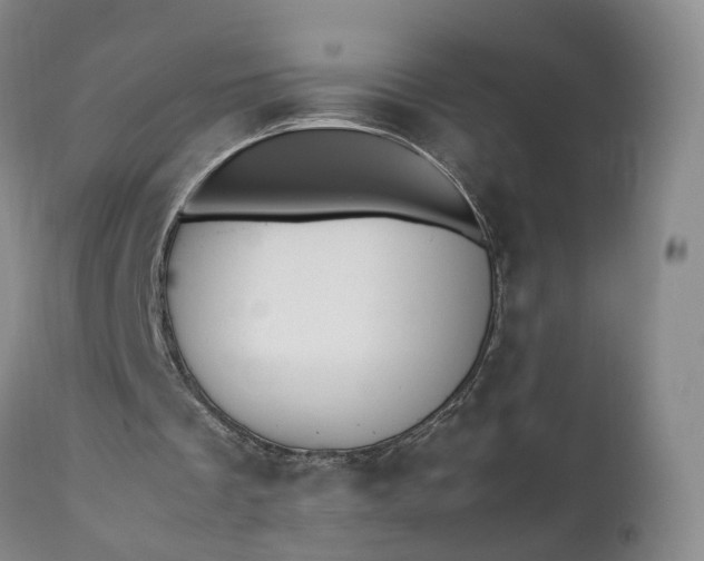 X0000111390289200907241340