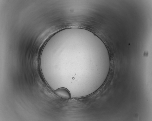 X0000111390290200907241340