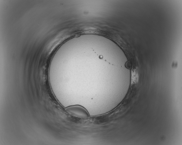 X0000111390291200907241340