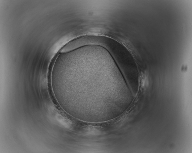 X0000111390292200907241340