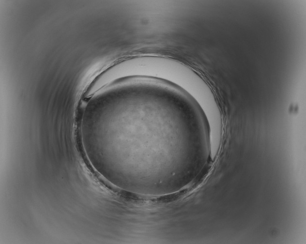 X0000111390293200907241340