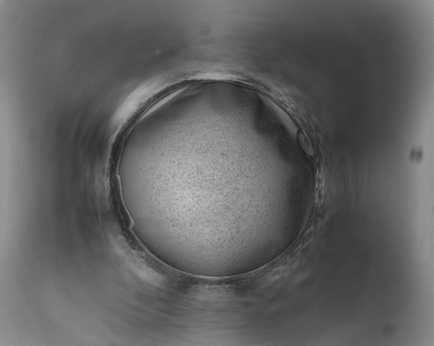 X0000111390296200907241340