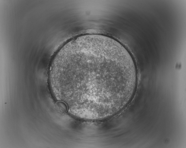 X0000111390297200907241340