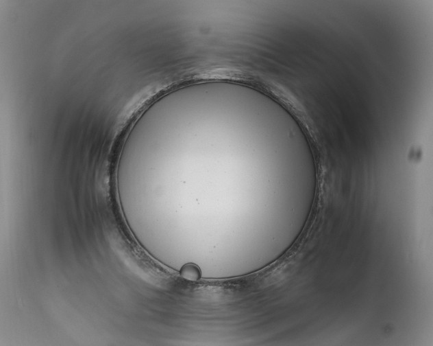 X0000111390298200907241340