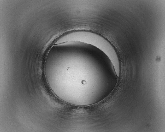 X0000111390300200907241340