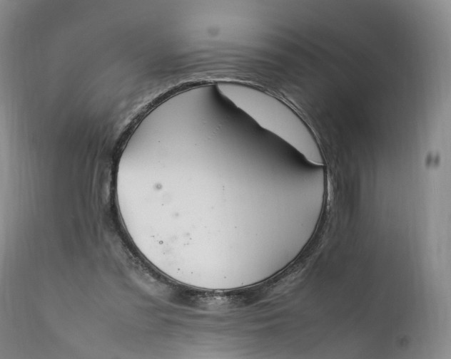 X0000111390301200907241340