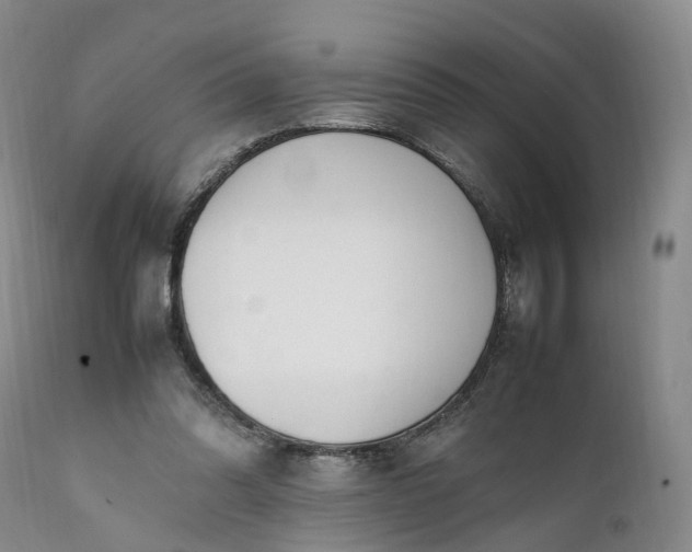 X0000111390302200907241340