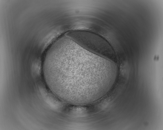 X0000111390304200907241340