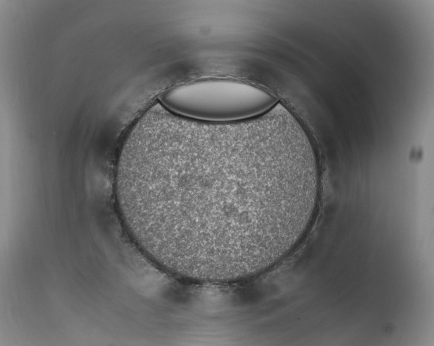 X0000111390305200907241340