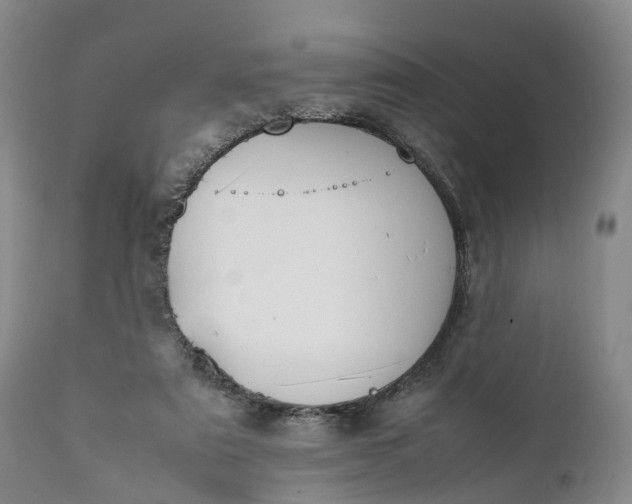 X0000111390307200907241340