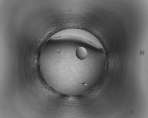 X0000111390308200907241340