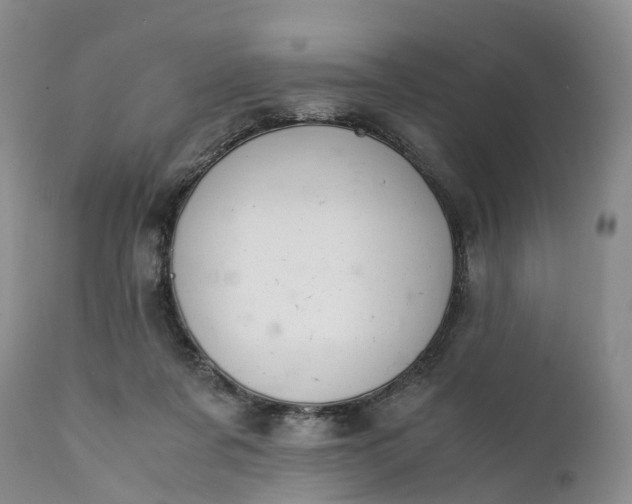 X0000111390311200907241340