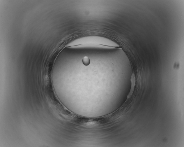 X0000111390312200907241340