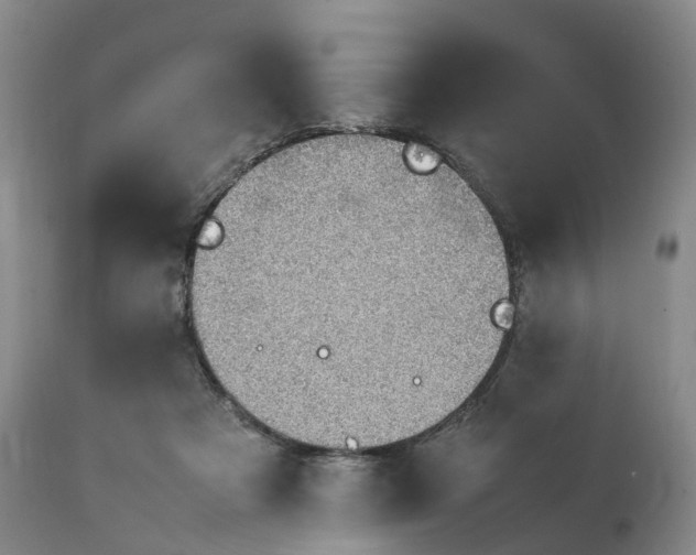 X0000111390313200907241340