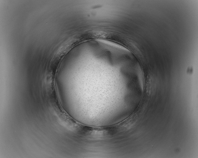 X0000111390314200907241340