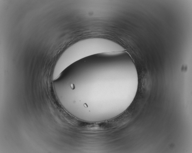 X0000111390316200907241340