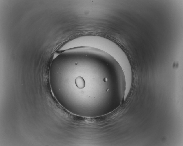 X0000111390317200907241340